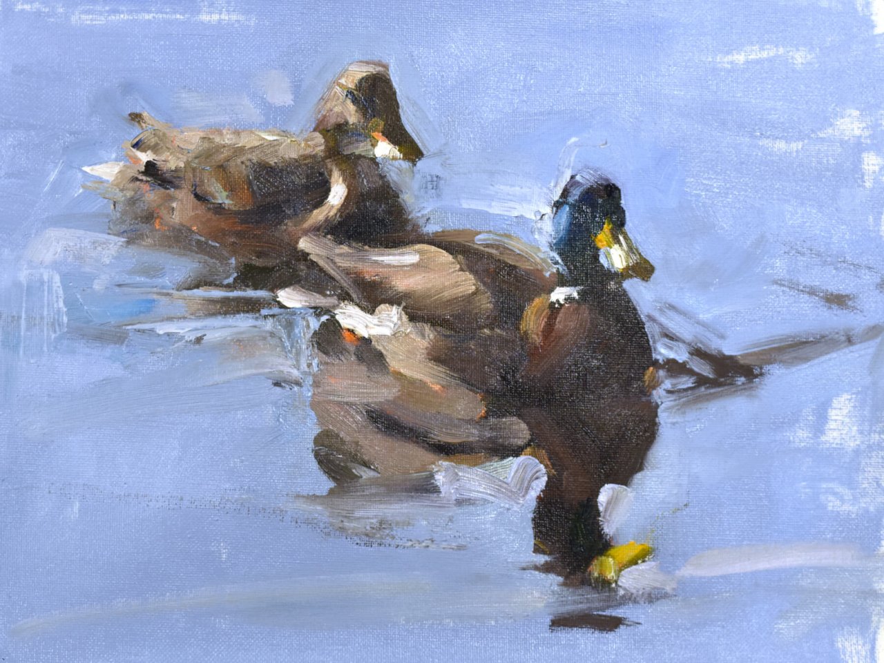 1b duck-impression-2k.jpg