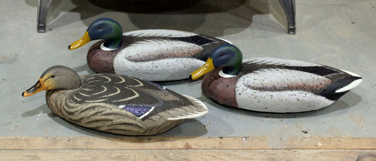 1d LL Beans Mallard Trio - Towles sm.JPG