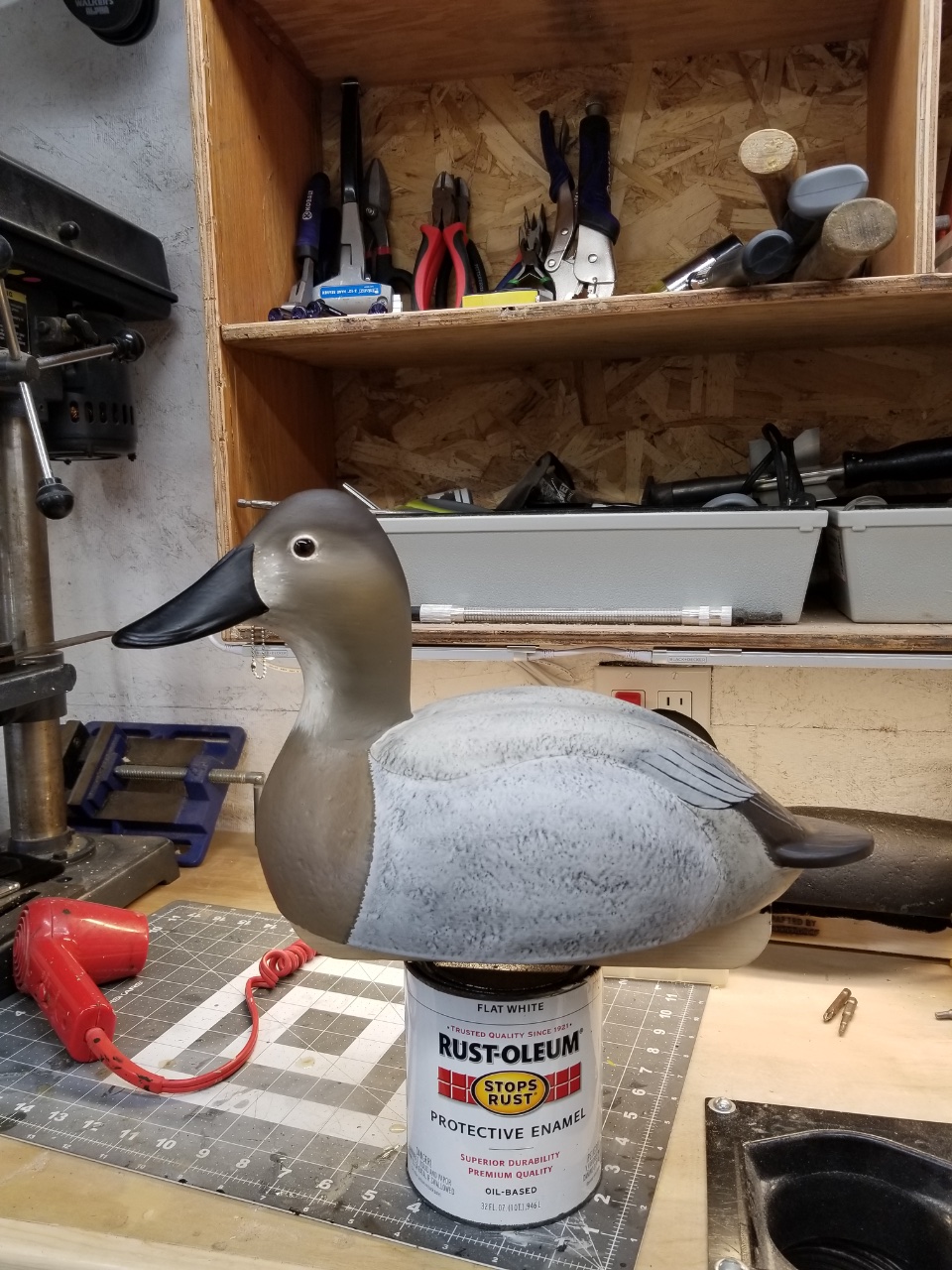 20191102_110055.jpeg
