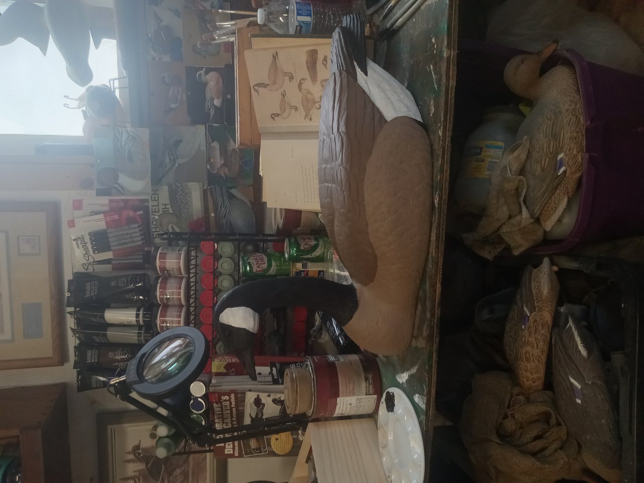 20250422_092901.jpg