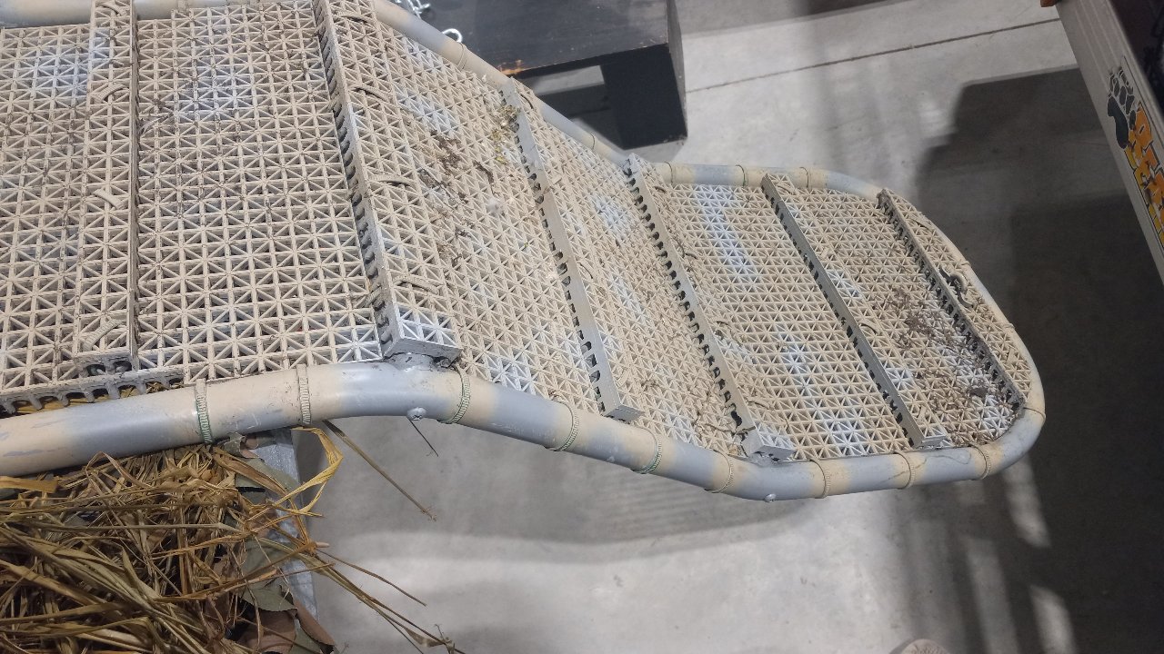 20250606_124304.jpg