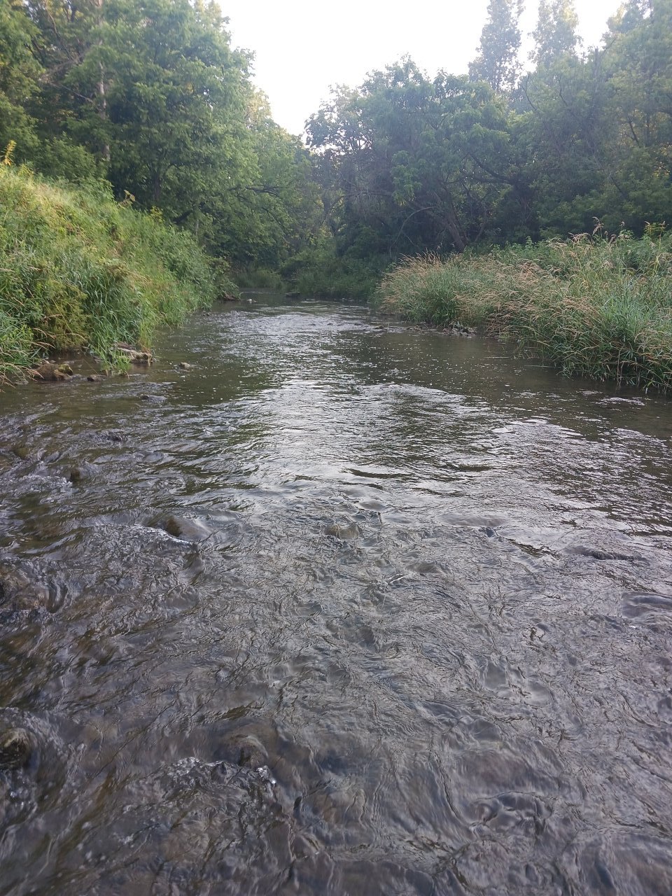 20250714_072113.jpg