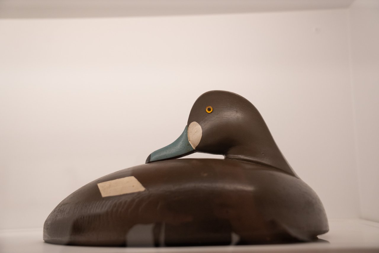 20251024-CES04320 (2).jpg