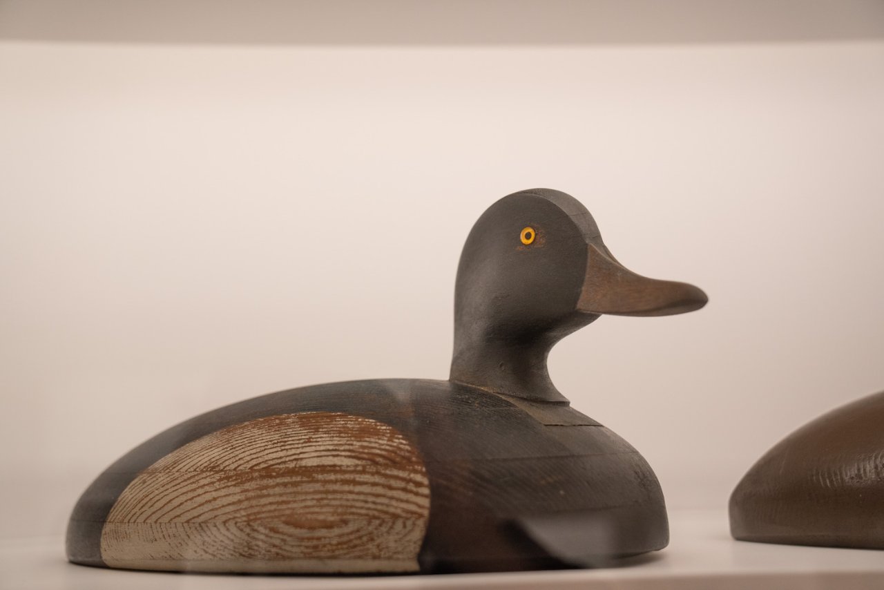 20251024-CES04321 (1) (1).jpg