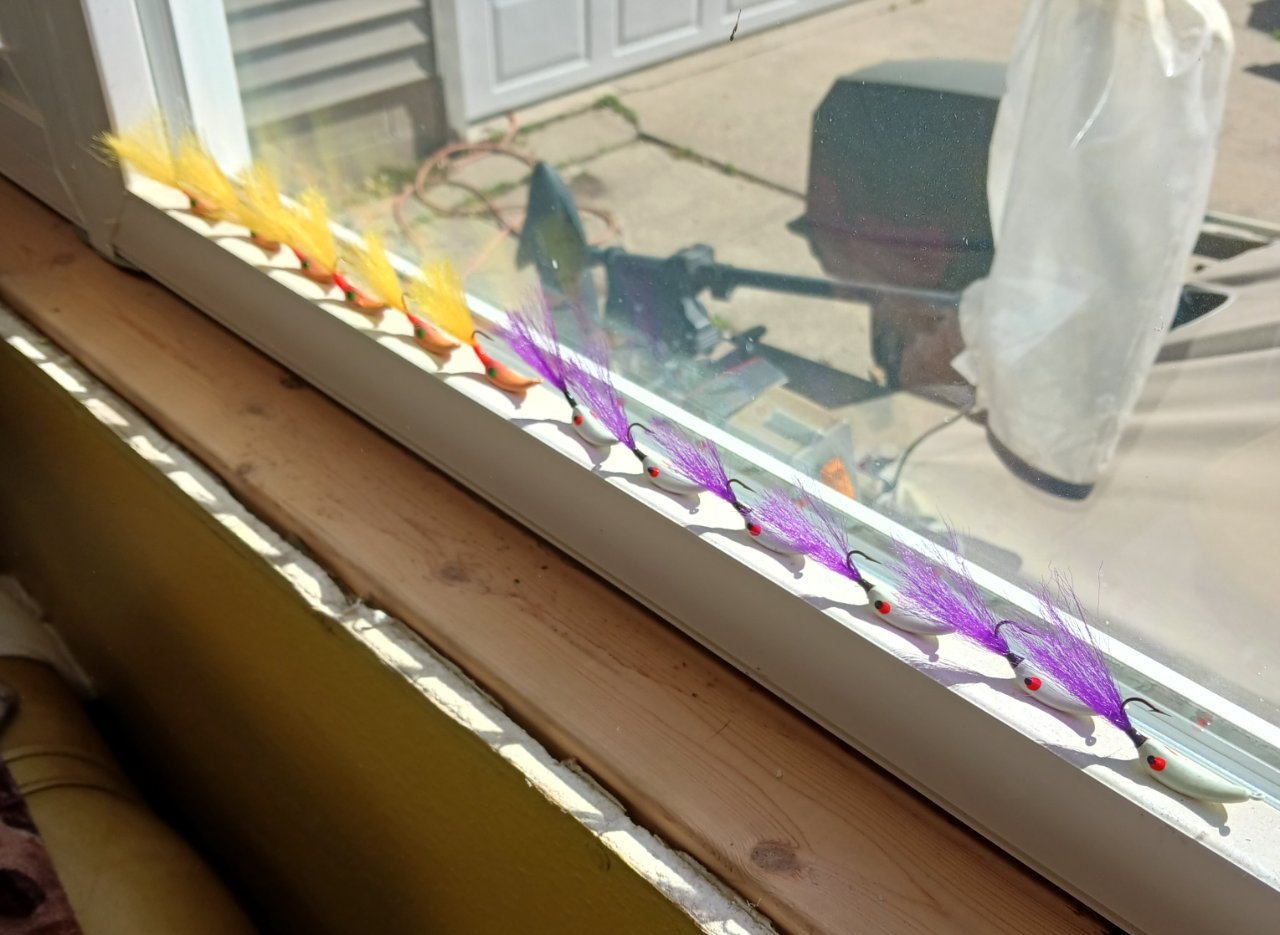 20260511_095900.jpg