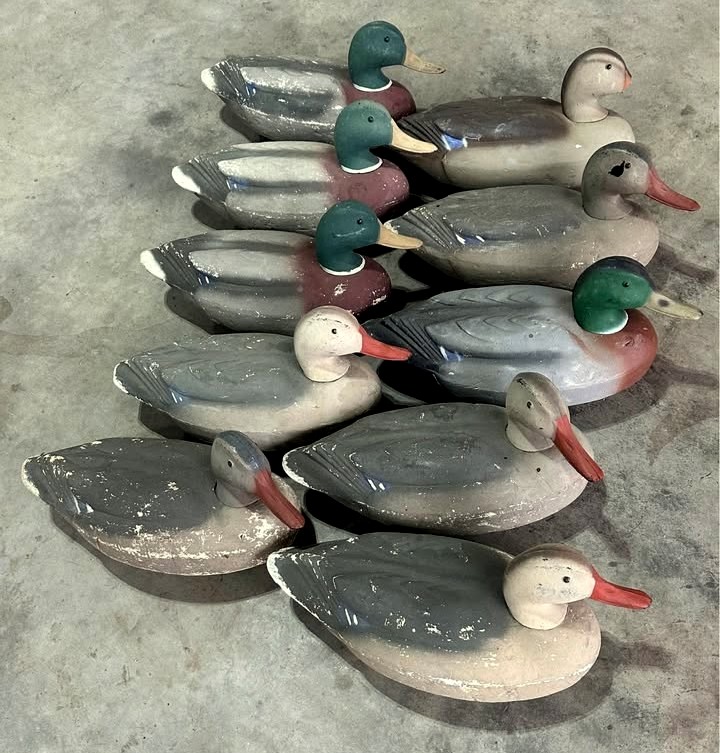 3 Stock Model 72 Mallards.jpg