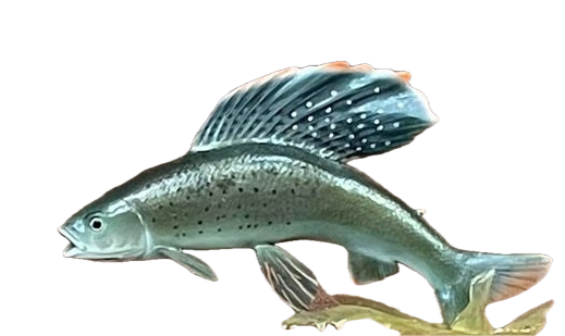 333306474_1381653292570624_2014629669857377297_n.png