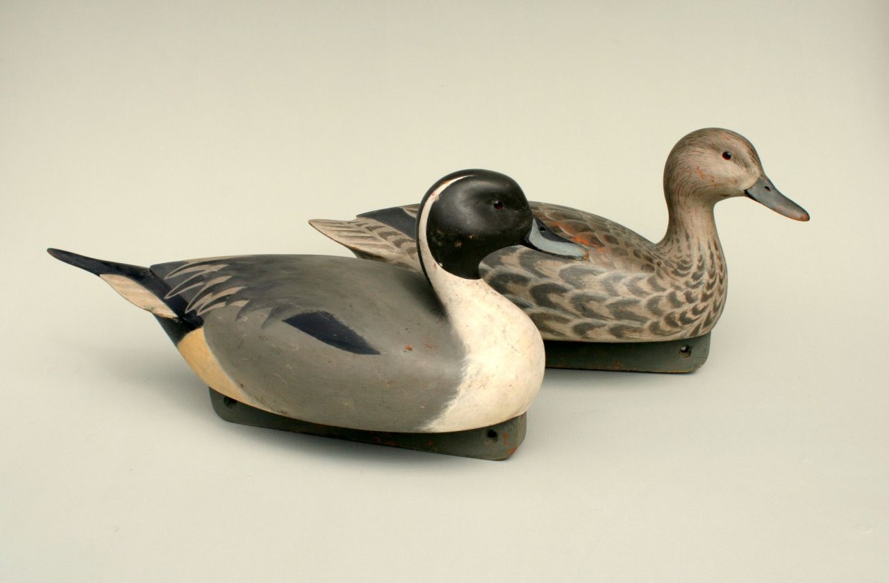 4 sm Pintail Pair - Gunners.jpg