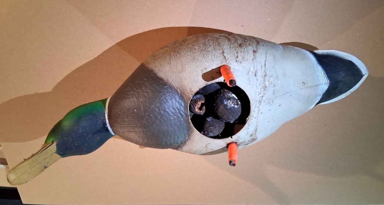 5 sm Mallard with Walnuts A.jpg