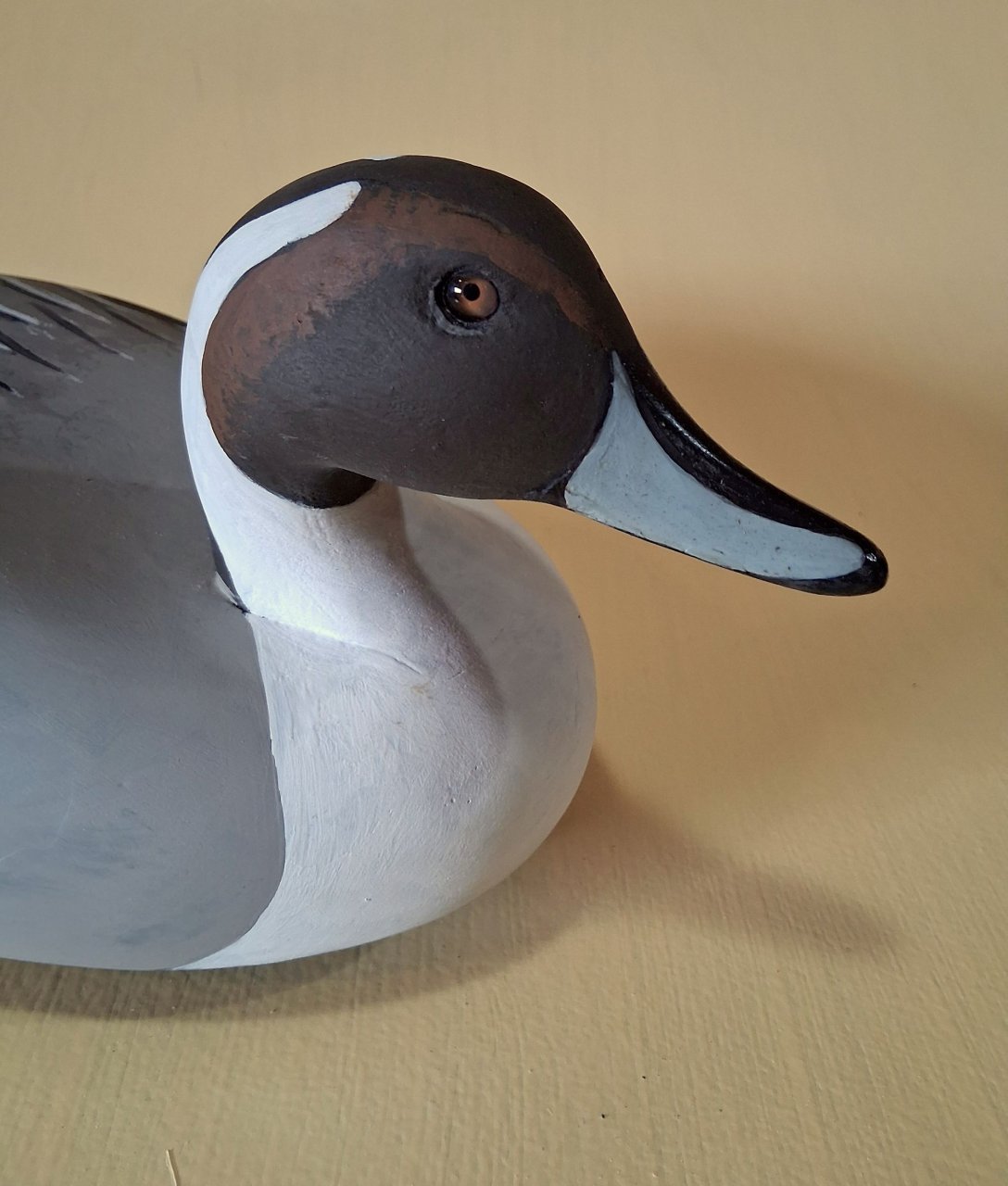 5 sm Wildfowler Pintail - Tierney DONE - head closeup.jpg