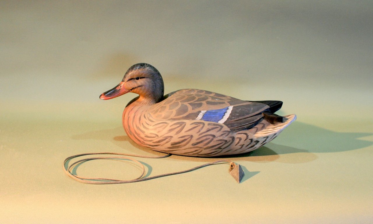 7 sm EAllen Mallard Hen.jpg