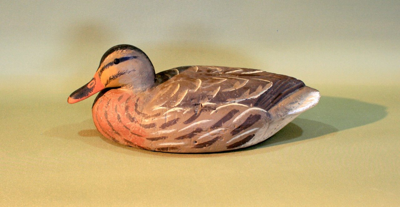 8 sm Herters 72 Mallard Hen - lowhead.jpg