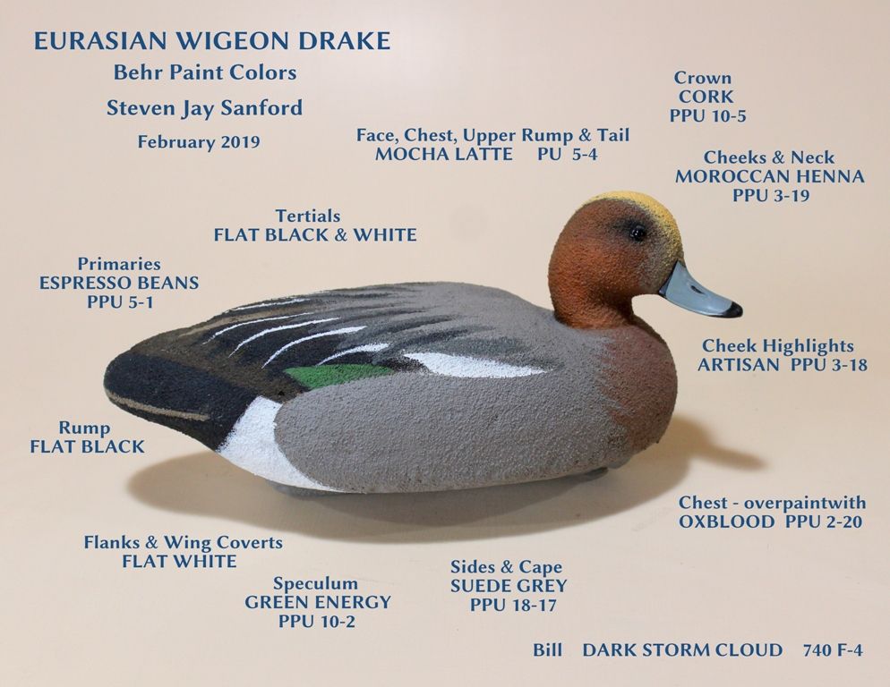 BEHR Paints - Eurasian Wigeon - Drake LABELS sm.jpg