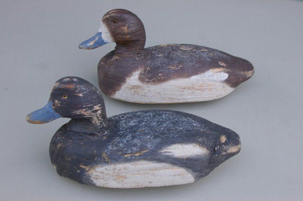 Bozbills 015 (600 x 399) - Copy.jpg