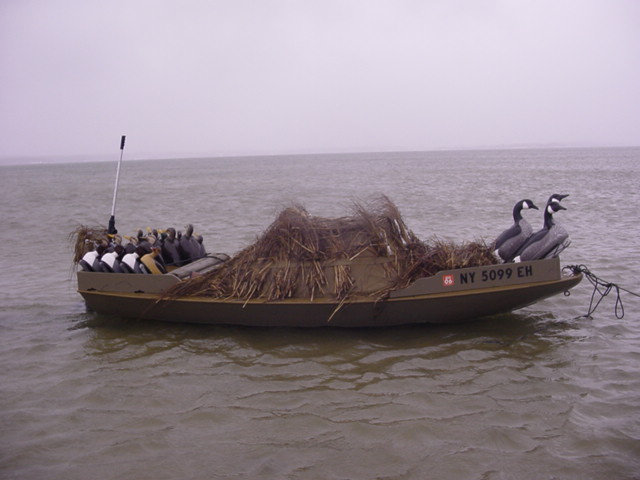 Estuary Cape 05 053.jpg