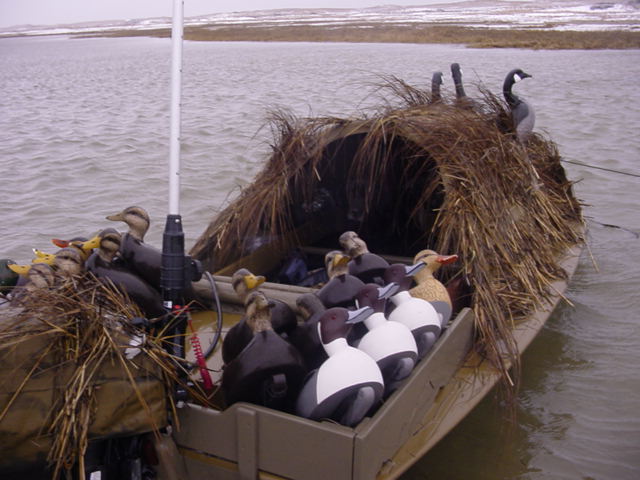 Estuary Cape 05 058 2.jpg