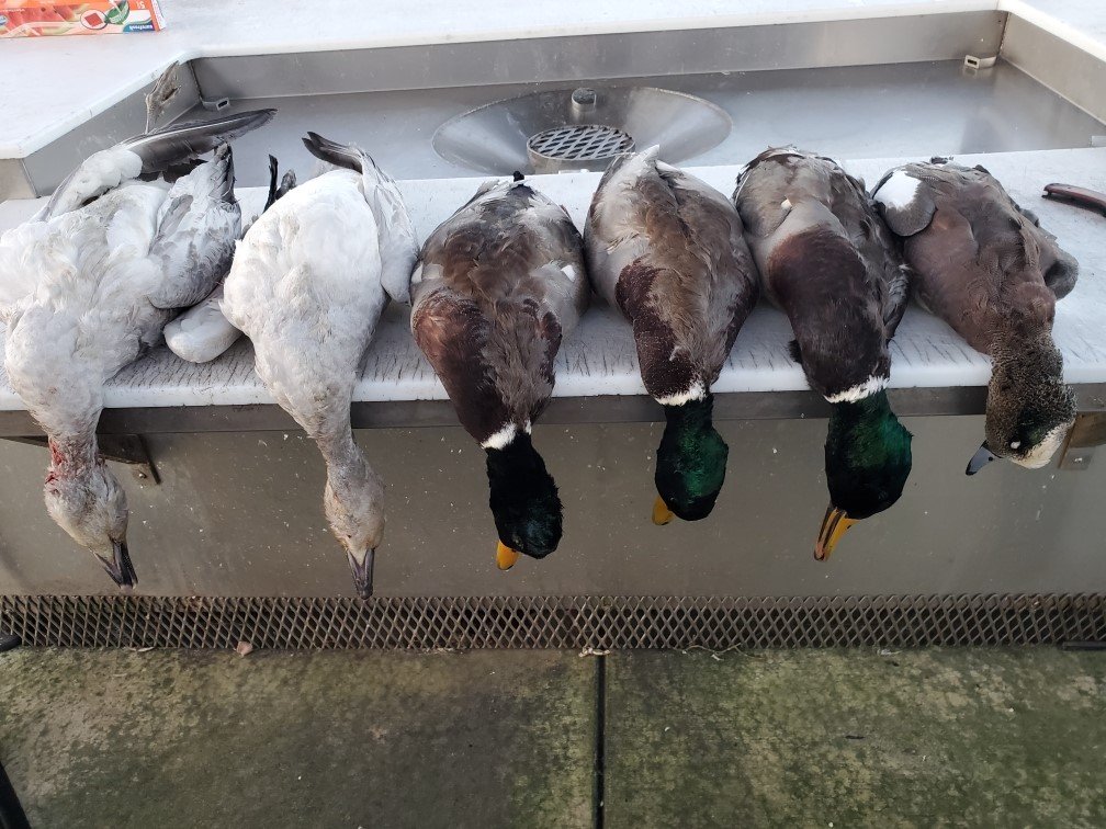 first snow on the coast.jpg