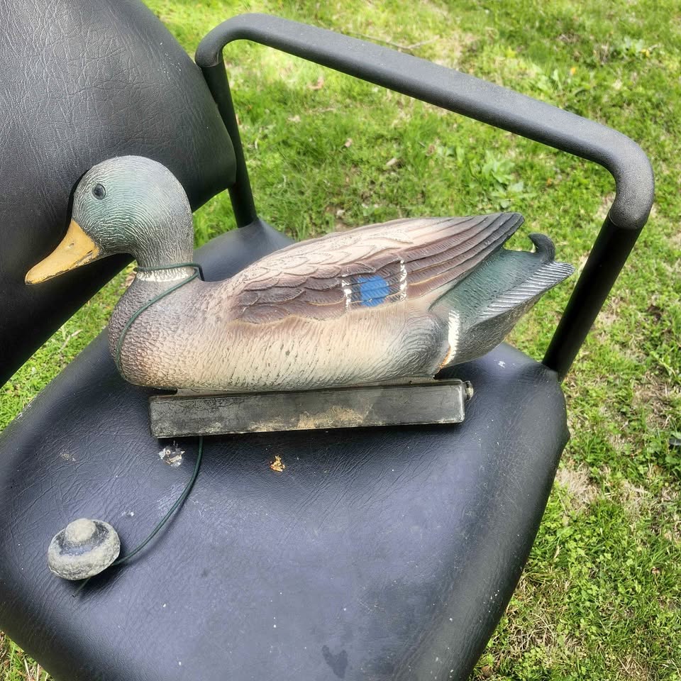 Flambeau Mallard - circa 1988.jpg