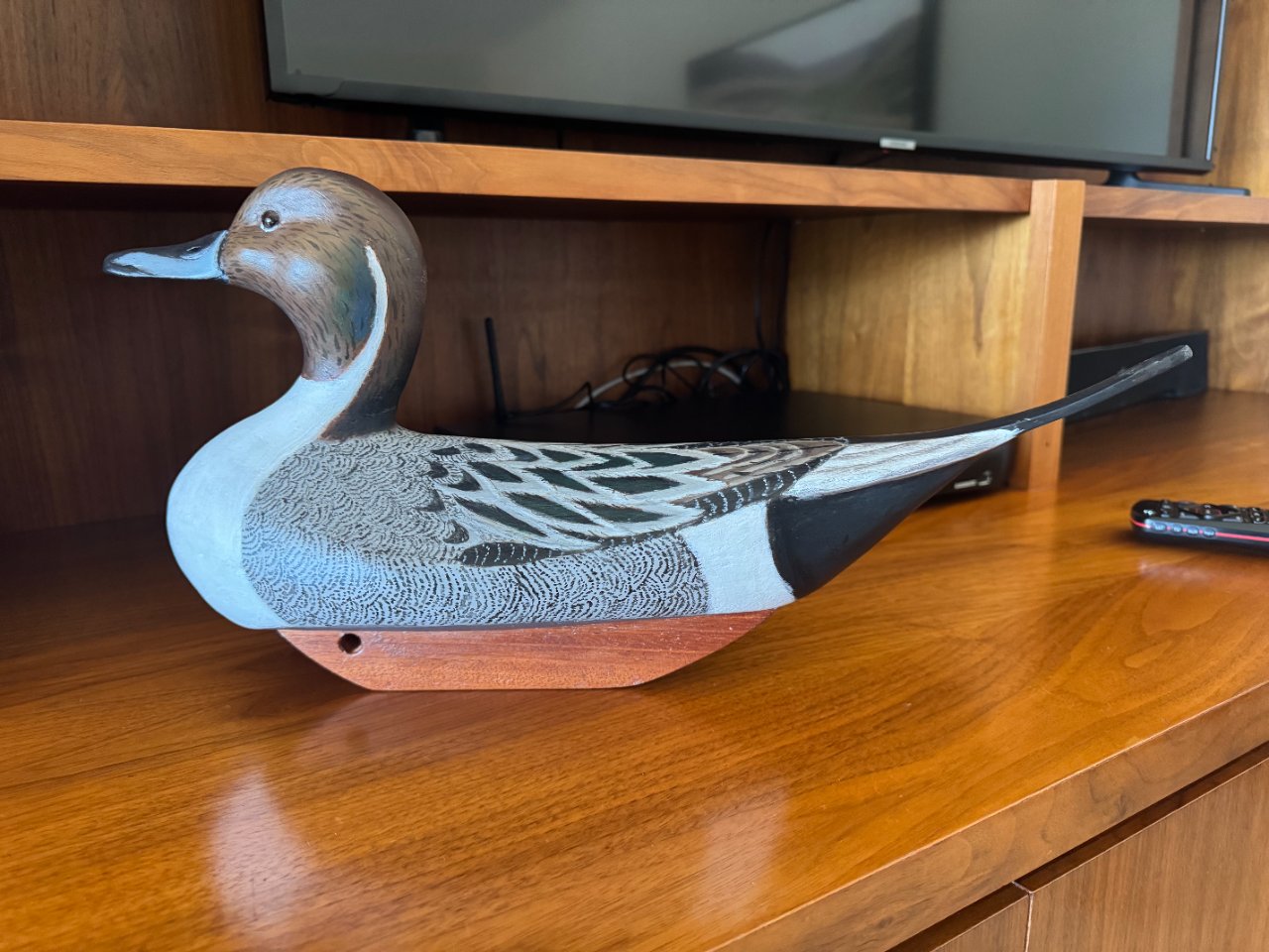 Frond Pintail.jpg