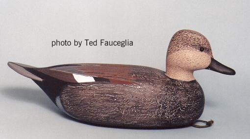 Gadwall photo by Ted Fauceglia.jpg