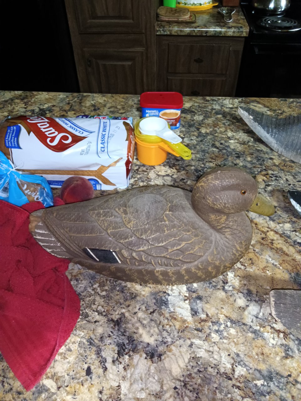 IMG_20250726_111137.jpg