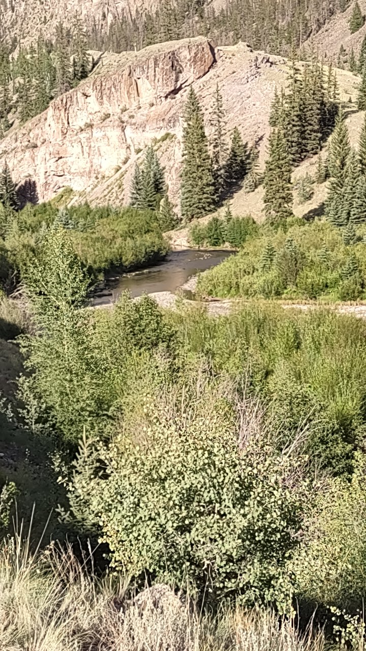 IMG_20250818_175614784.jpg