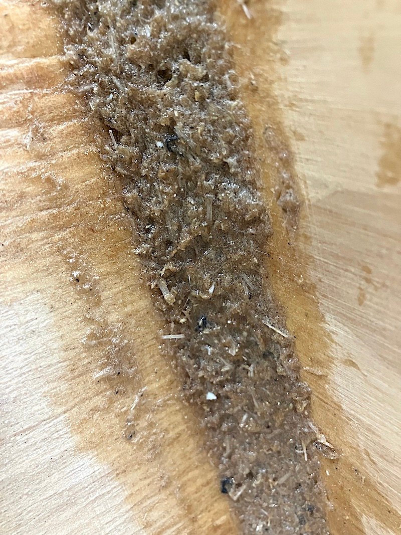 IMG_4103 Coarse putty.jpg