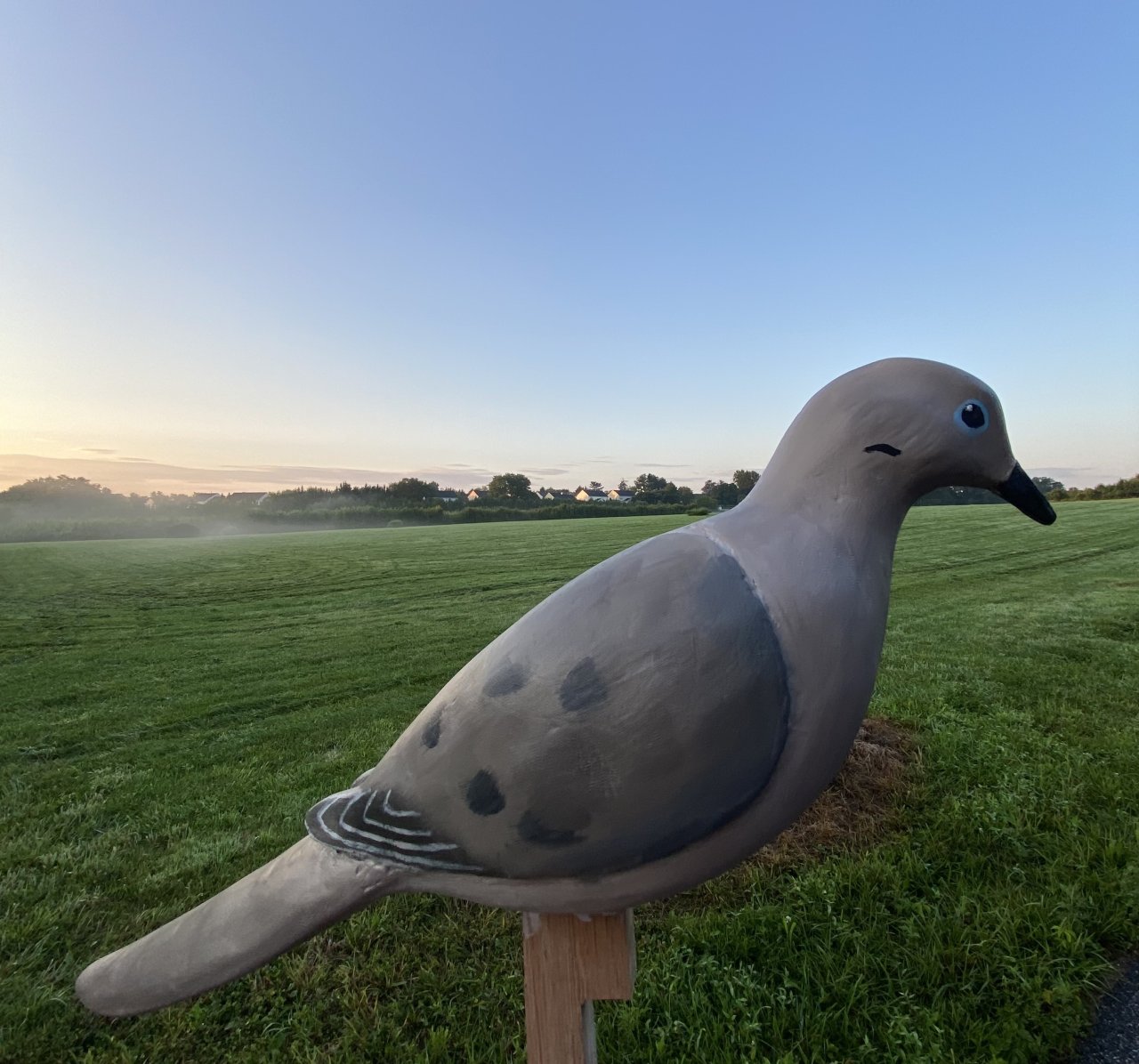 IMG_4928.jpeg