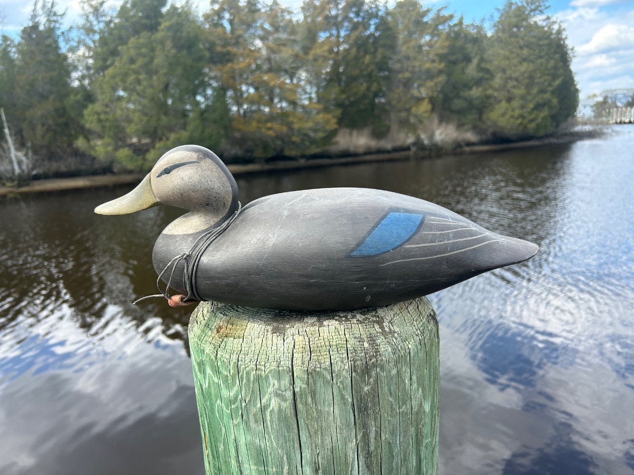 IMG_7022.jpeg