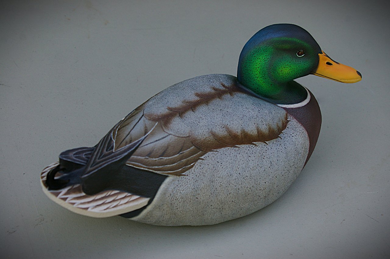 IMGP0949.JPG