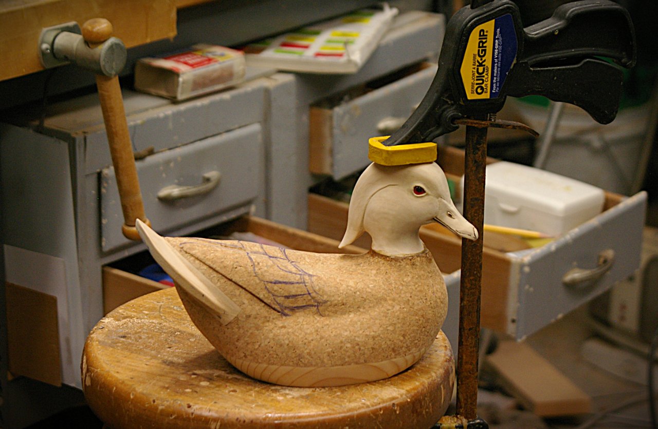 IMGP0994.JPG
