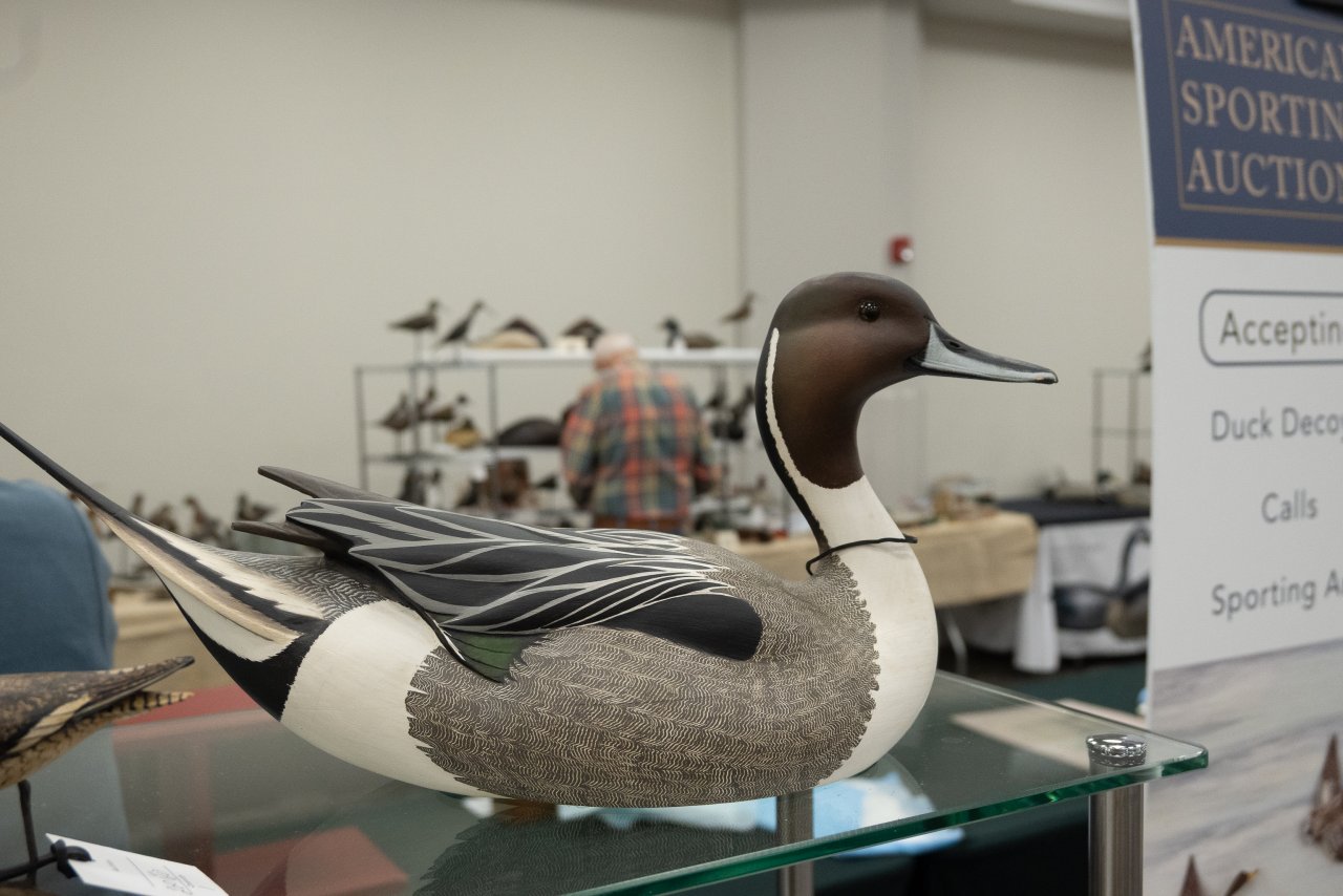 Island Outdoors Media TM-160.jpg