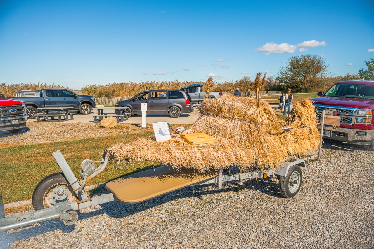 Island Outdoors Media TM-81.jpg