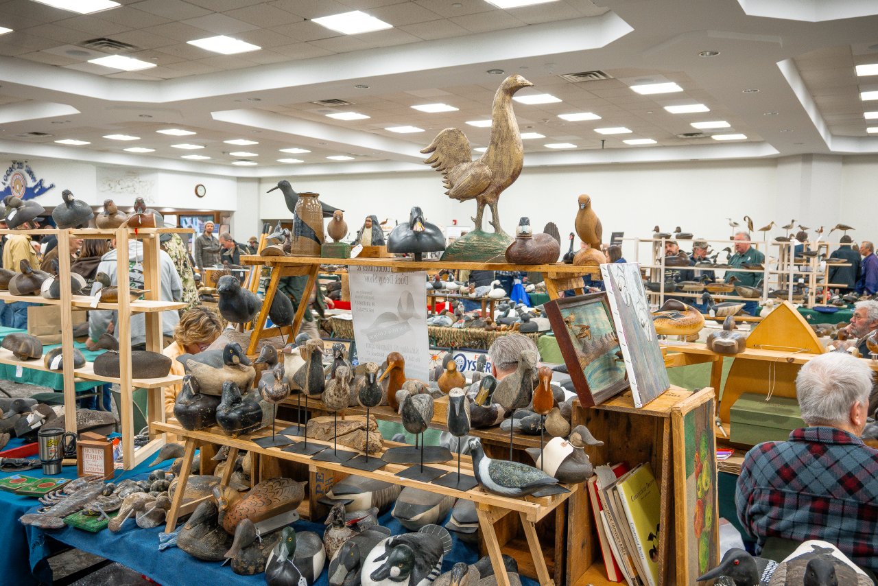 Island Outdoors Media TM-96.jpg