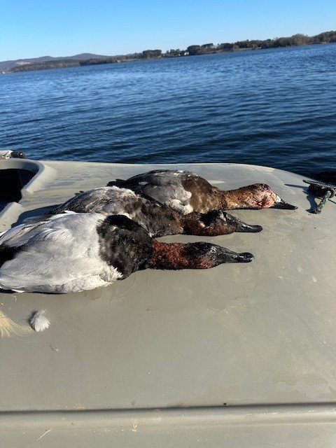 OPENING DAY 2025 - Copy.jpg