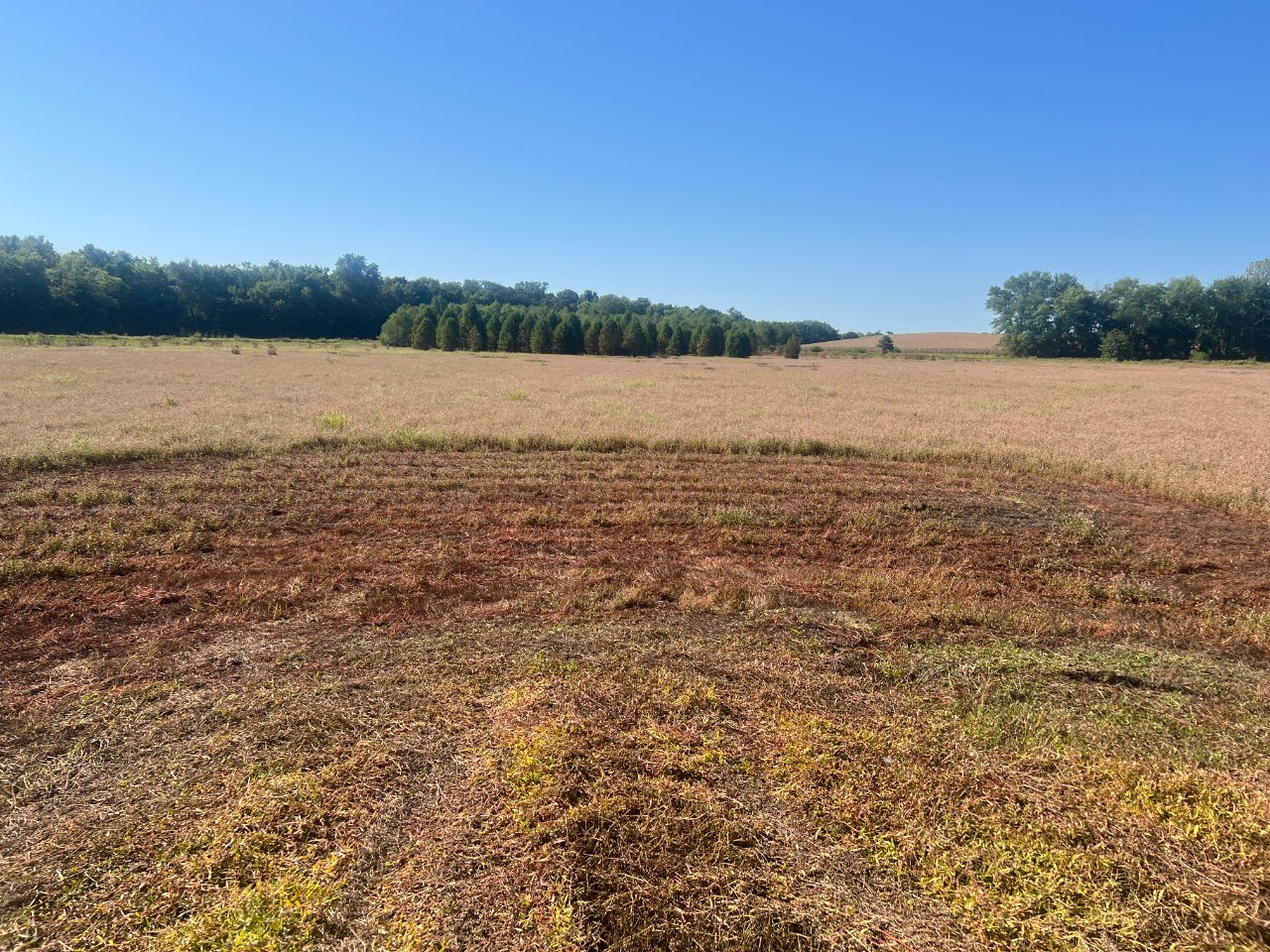 pit south view 2025.jpg