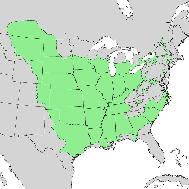 Populus_deltoides_range_map_2.png