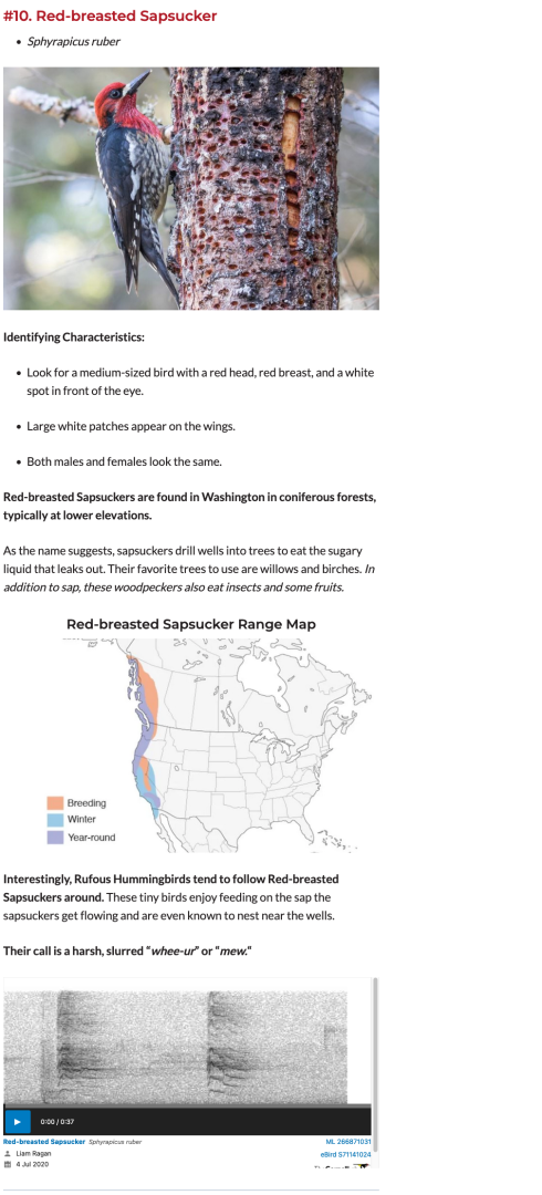 Screenshot 2024-03-26 at 08-02-15 11 Types of Woodpeckers Found in Washington (state).png