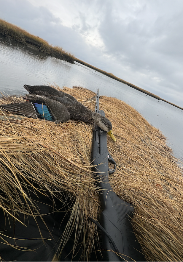 Screenshot 2025-10-12 at 9.57.04 AM.png