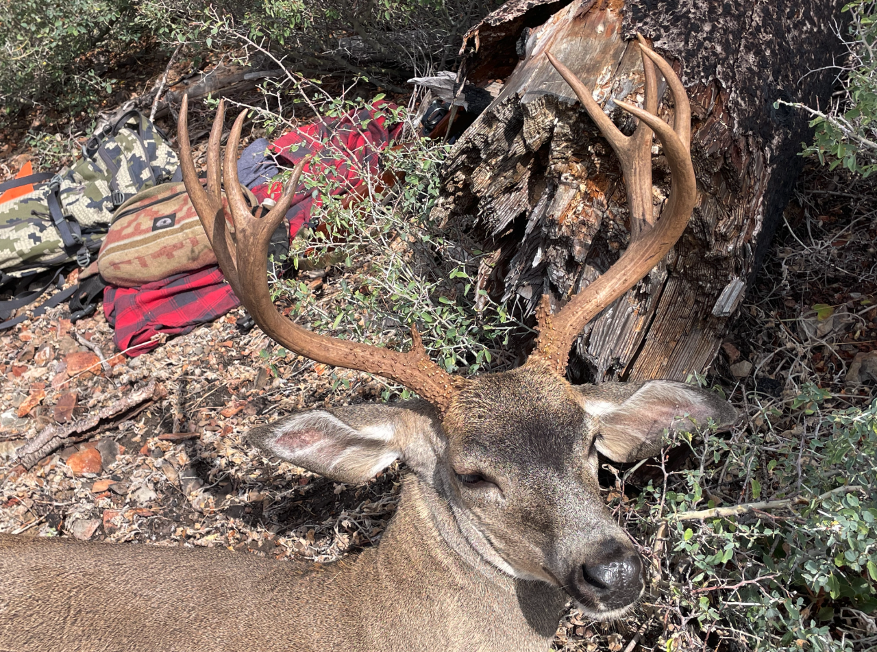 Screenshot 2025-11-17 at 9.09.12 AM.png