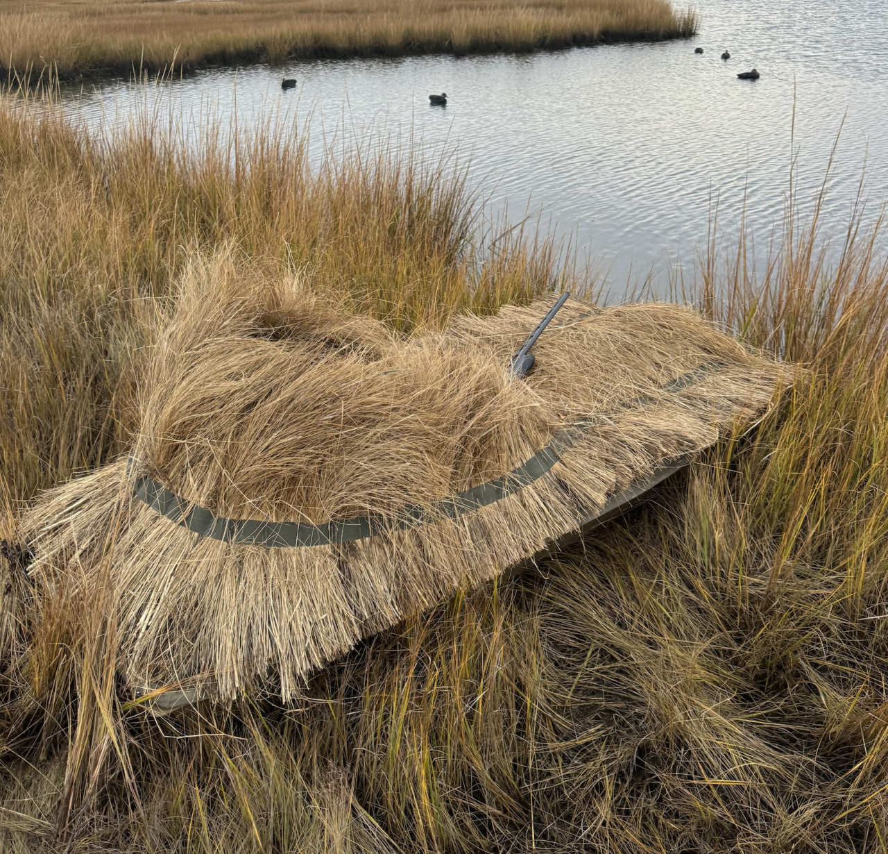 Screenshot 2025-11-21 at 10.12.21 AM.png