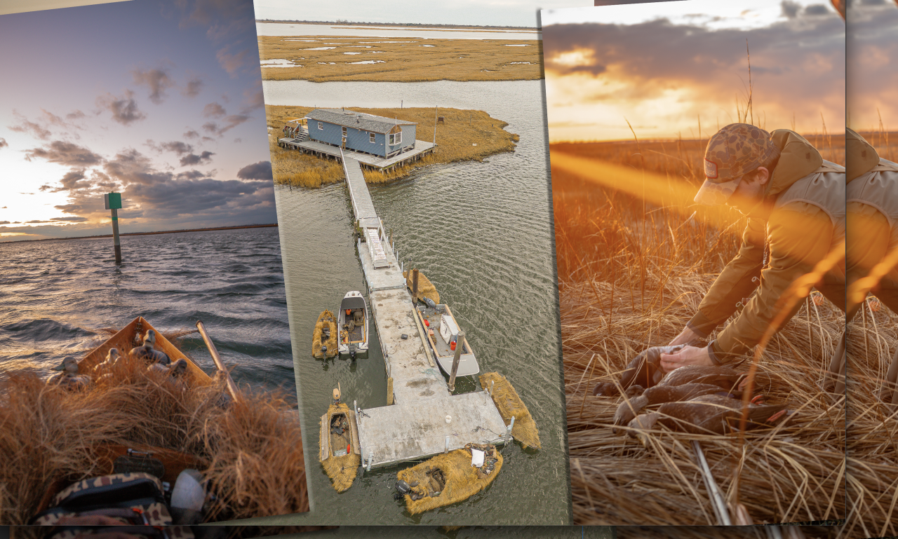 Screenshot 2026-01-13 at 11.26.14 PM.png