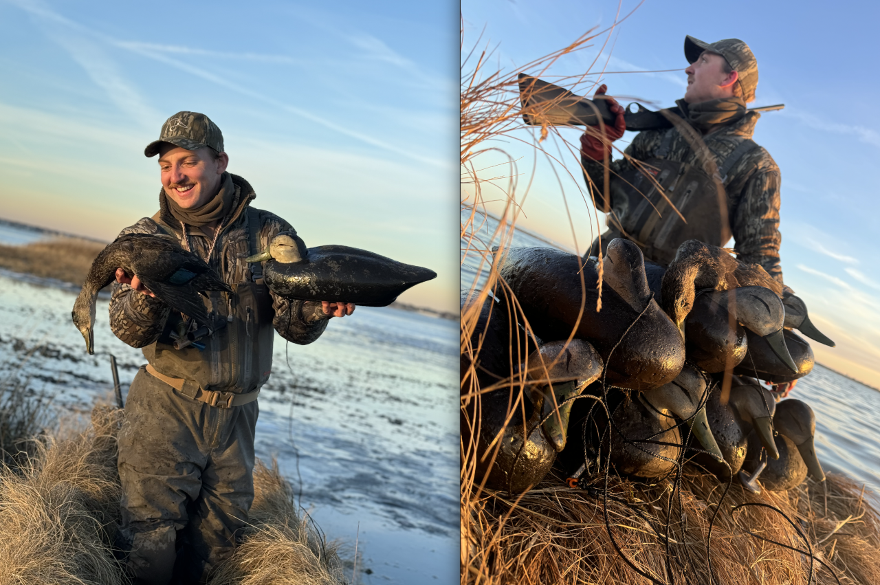 Screenshot 2026-02-07 at 3.45.36 PM.png