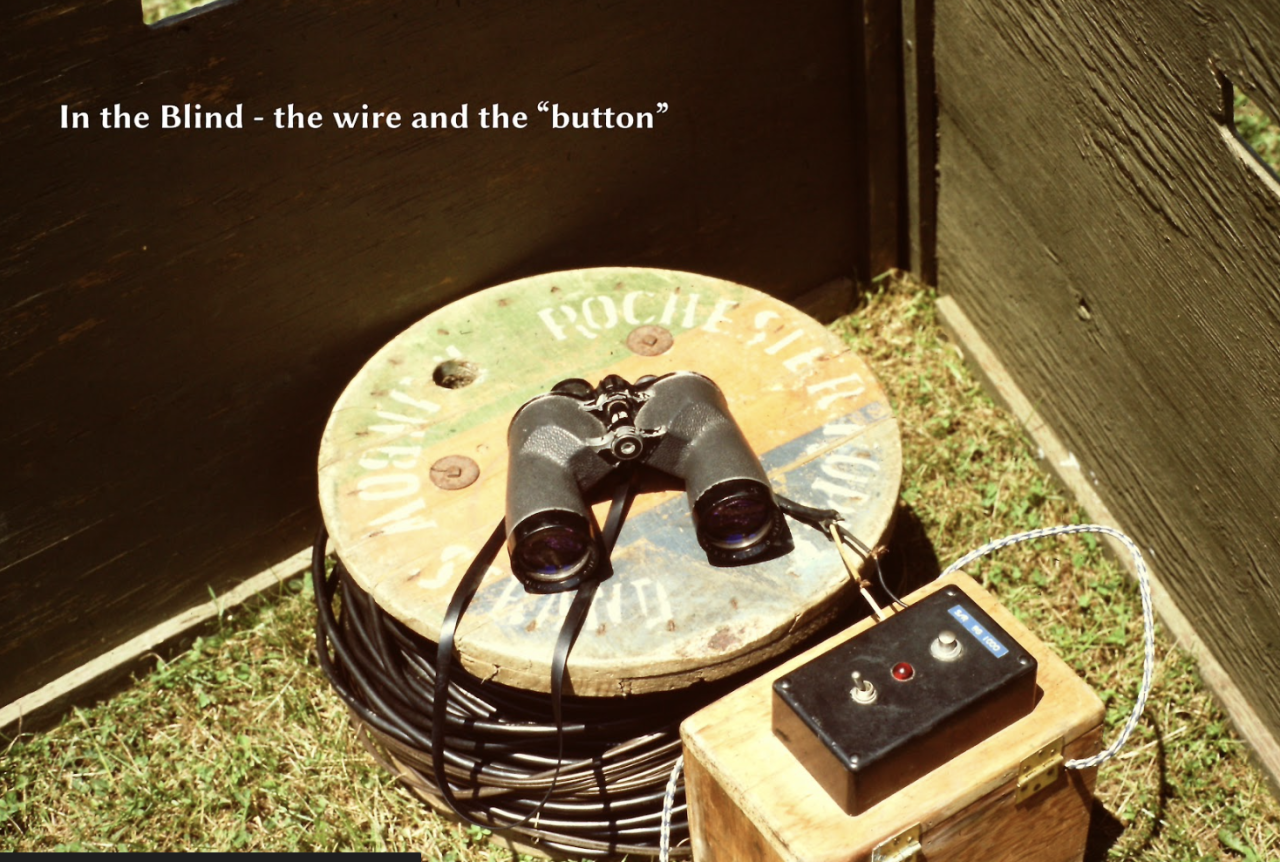 Screenshot 2026-02-16 at 10.53.56 PM.png