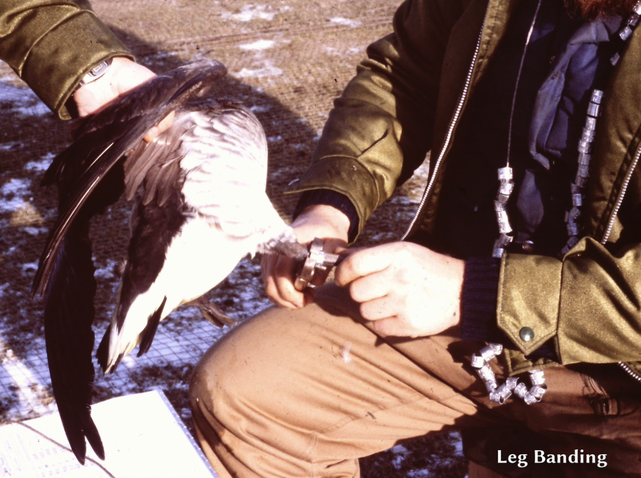 Screenshot 2026-02-16 at 10.54.38 PM.png