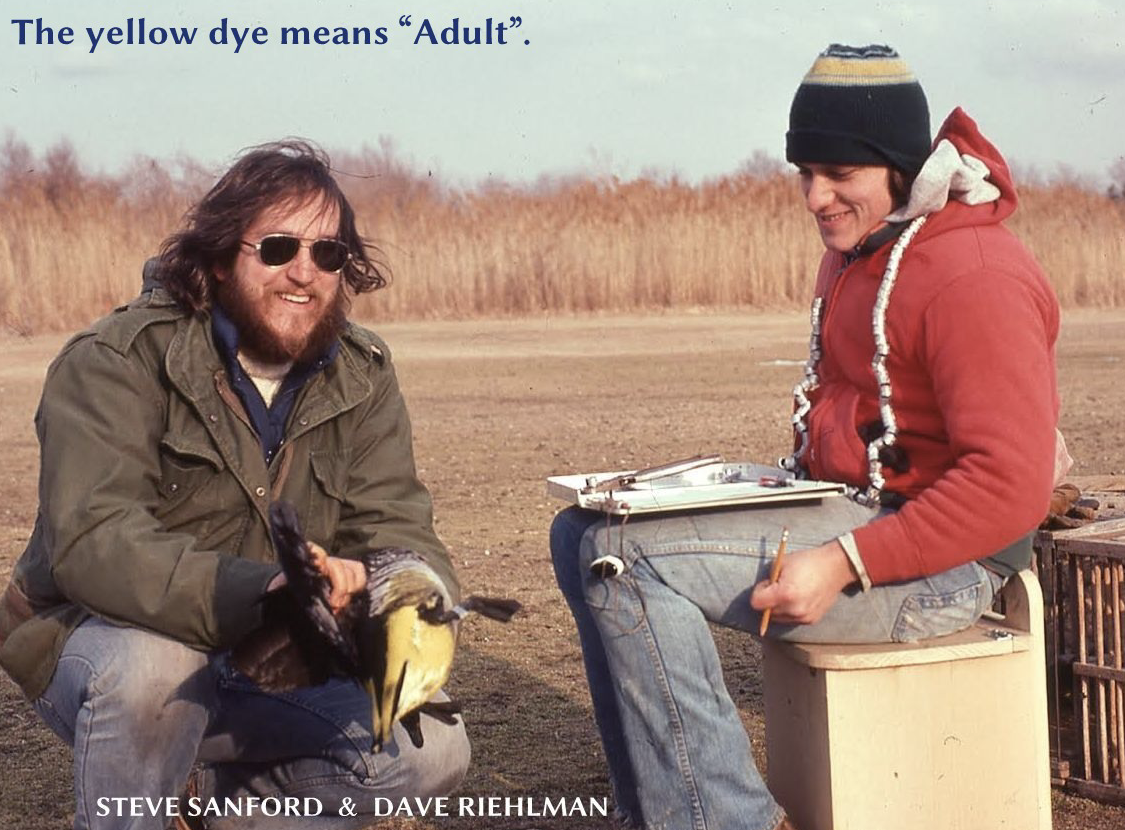 Screenshot 2026-02-16 at 10.55.00 PM.png