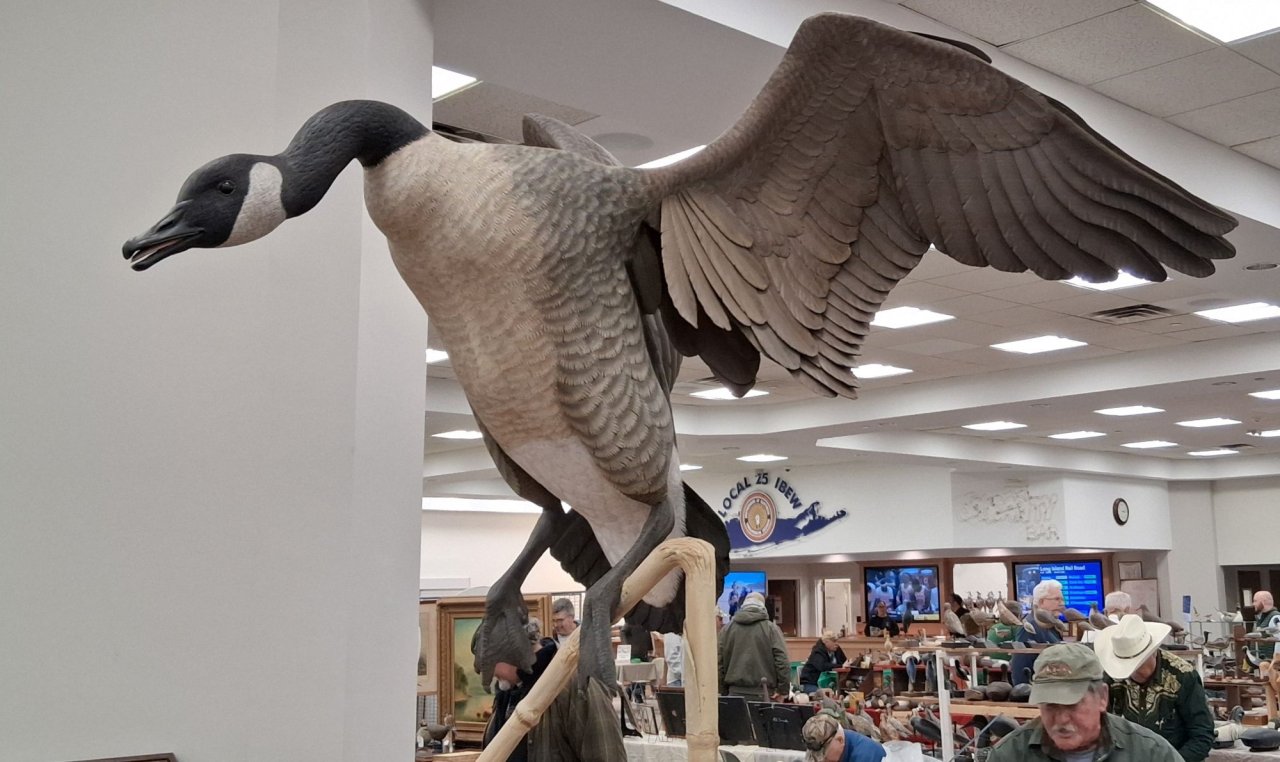 sm 14 Arnister Landing Goose BETTER.jpg