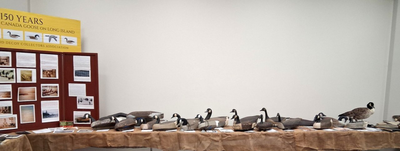 sm 4 Goose Decoys - Stbd half.jpg