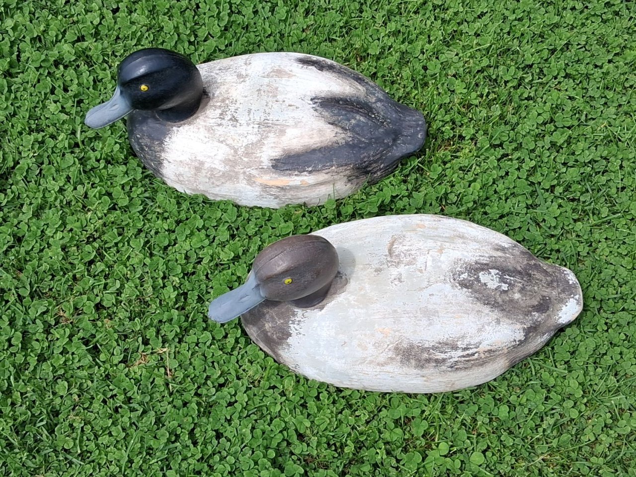 sm  a Model Canada HYBRID Bluebill Pair 2.jpg
