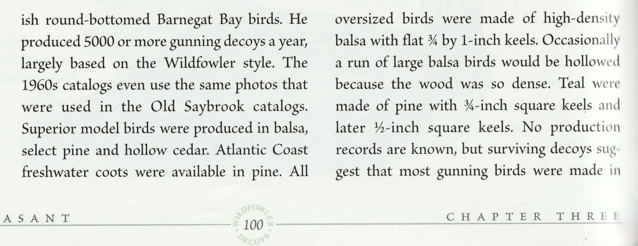sm Birdsall 3.jpg